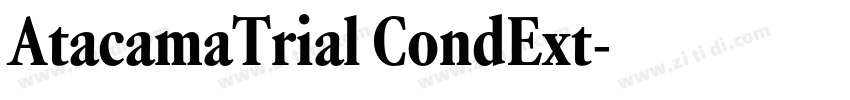 AtacamaTrial CondExt字体转换